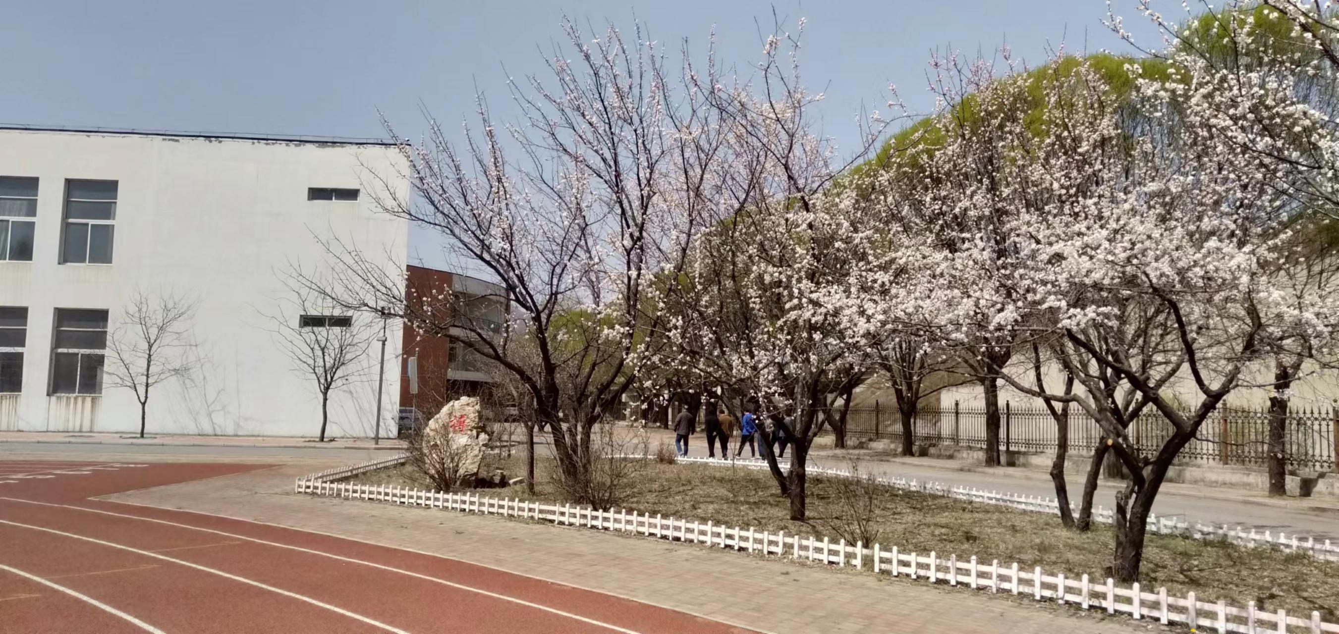 南芬中学